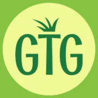Green Tomato